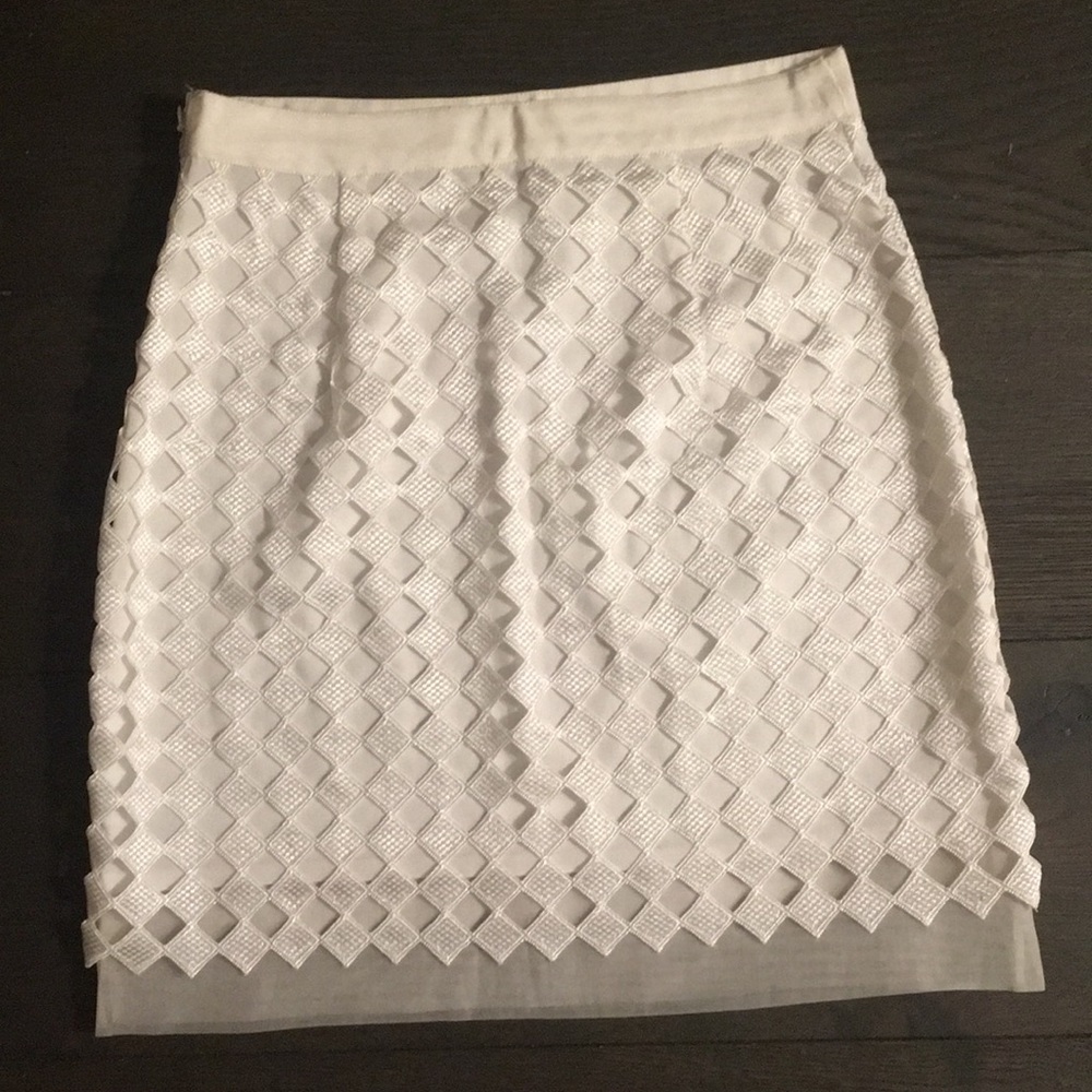 Club Monaco Skirt